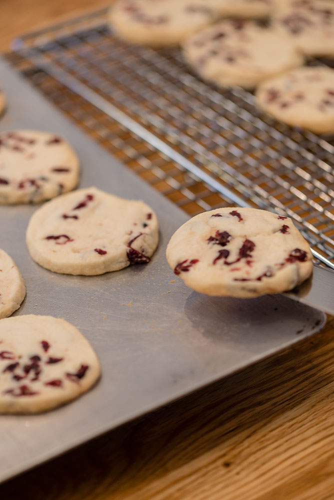 Cranberry-shortbread-cookies-8---food-photography